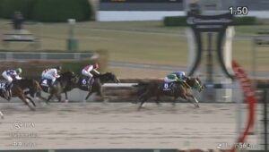 【競馬】チャンピオンズＣは坂井騎乗のレモンポップが逃げ切り連覇達成