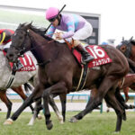 【阪神カップ】1番人気ナムラクレアが大外から差し切り快勝!約1年4カ月ぶり復活V