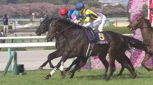 2冠牝馬スターズオンアースが引退、繁殖入り