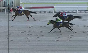 【東京大賞典】フォーエバーヤングが快勝！国内無双のG1級３勝目