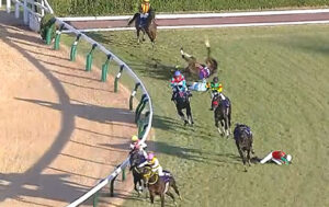 【中山大障害】人気のマイネルグロン含め3頭落馬