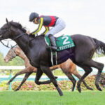 【競馬予想】[1]第41回ホープフルステークス(GⅠ) /2024