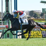【2歳新馬】キタサンブラック産駒トリプルコーク強すぎワロタwww