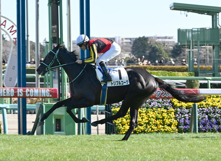 【2歳新馬】キタサンブラック産駒トリプルコーク強すぎワロタｗｗｗ