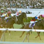 【有馬記念】レガレイラ戸崎 強すぎワロタwww