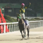 ウィルソンテソーロ東京大賞典参戦