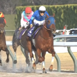 坂井大先生、中京GⅠ3連覇達成 他
