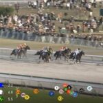 ミックファイア調教師「完全に叩きのめされました」