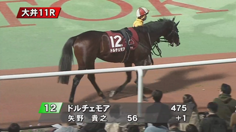 今日の大井メインに元G1馬ドルチェモアさんが出走