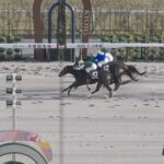 北村友一騎手の時代来る