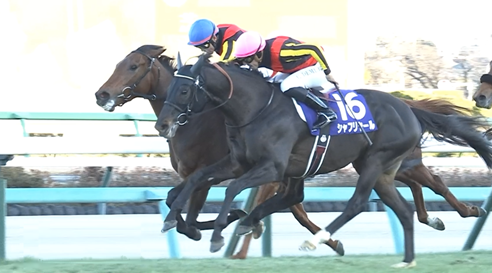 レガレイラが骨折　全治3カ月以上