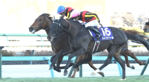 シャフリヤール引退、社台SSで種牡馬入り
