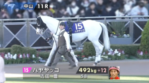 ハヤヤッコさん現役続行