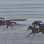 【東京大賞典】フォーエバーヤング&坂井騎手がキタ━━━━(゚∀゚)━━━━!!