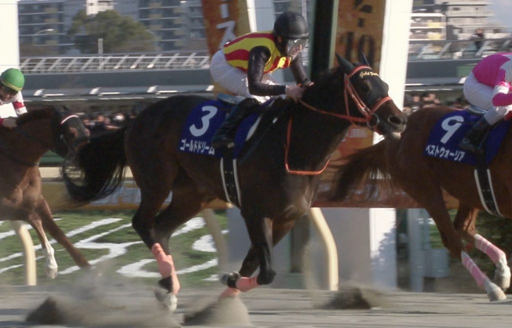 【競馬/フェブラリーS】吉田勝己名義でのG1勝利はフラワーパーク（96年スプリンターズＳ）以来