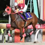 年度代表馬フォーエバーヤングに入れた19人について