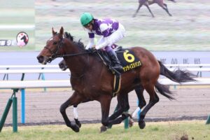 サンライズジパングがサウジの芝長距離G2レッドシーターフHの招待を受諾