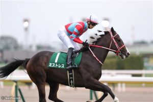 キズナ産駒ミストレス、ナダル産駒を後方から見守る