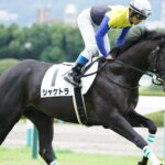 実は早くから実力を見抜いていた晩成馬