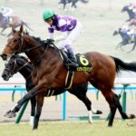 サンライズジパング、次走はサウジ芝で決定か