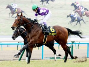 サンライズジパング、次走はサウジ芝で決定か