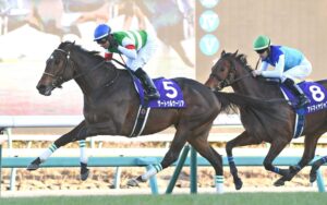 新種牡馬リーディングサイアー、サートゥルナーリア