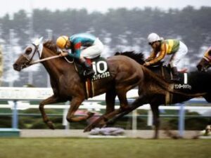 こんな世の中だけど大好きだった(今も)競走馬、騎手、調教師、オーナーあげていこうよ