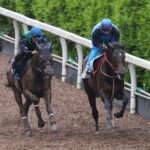 調教悪いのに強かった馬
