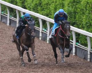 調教悪いのに強かった馬