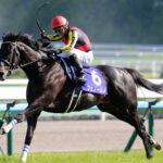 1番好きな青葉賞馬