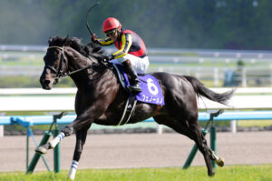 1番好きな青葉賞馬