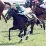 歴史的名馬かと思ったらそうでもなかった馬