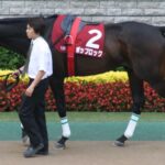 印象に残ってるGI未勝利馬