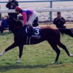 アップトゥデイトとかメイショウドトウとかの最強の2番手マジで好き過ぎる