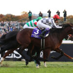 【JRA賞】2024年度 年度代表馬はドウデュース!フォーエバーヤングは特別賞
