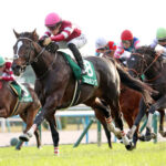 牡馬クラシックはクロワデュノール(ルメール)vsエリキング(川田)