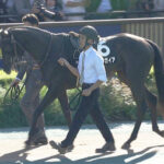 【競馬予想】[1]第41回フェアリーステークス(GⅢ) /2025