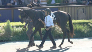 【競馬予想】[1]第41回フェアリーステークス(GⅢ) /2025