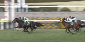 【競馬/阪急杯】トーキングドラム幸「本番楽しみ」　調教師「高松宮出ない」