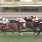 【競馬/中山記念】優勝ネオリアリズムまたしてもデムーロwwwwwwwww