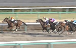 【競馬】【定期】ピオネロのnetkeiba掲示板荒れるwwwwwww