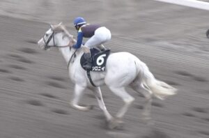 【競馬】シロニイ、皐月賞ＴＲへ　姉ブチコの分も
