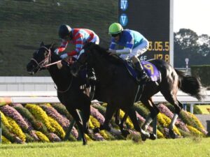 コントレイルが菊花賞負けていたら史上最弱の菊花賞馬が生まれていた事実