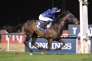 今年は日本馬がBC、ドバイ、香港で勝てるのだろうか？？