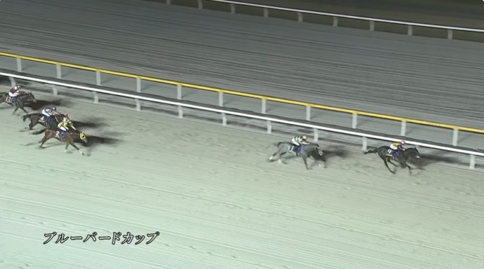 【ブルーバードカップ2025】結果・動画/メルキオルが早め先頭から押し切る