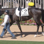 【競馬予想】[2]第41回フェアリーステークス(GⅢ) /2025