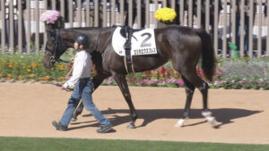 【競馬予想】[2]第41回フェアリーステークス(GⅢ) /2025