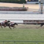 【競馬】日経新春杯は西村騎乗のロードデルレイがV