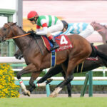 【競馬予想】[1]第66回アメリカジョッキークラブカップ(GⅡ) /2025