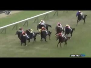 【競馬/弥生賞】カデナはキズナの生まれ変わり